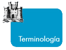 Terminologia