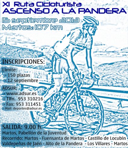 cartelpandera2013web.jpg