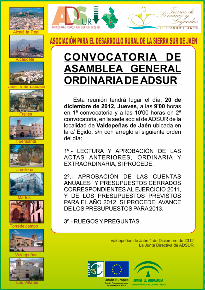 cartelwebanuncioasamblea2012.png
