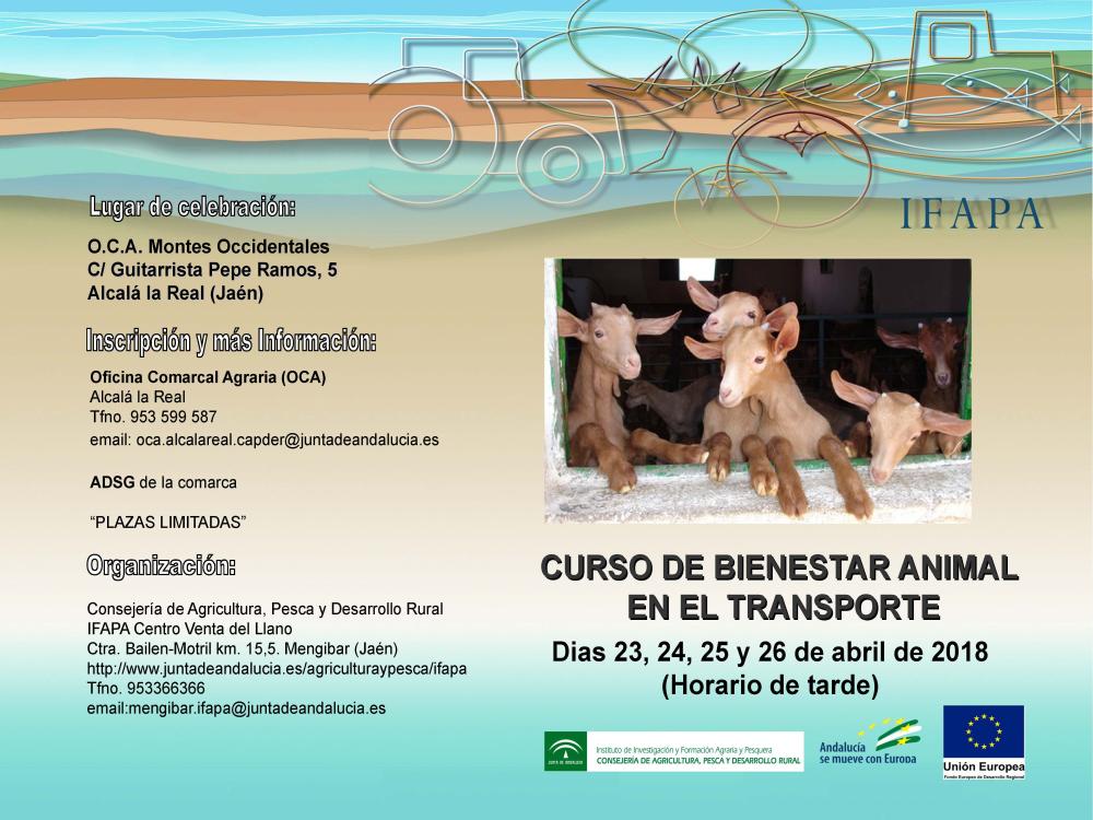 Poster_curso_Bienestar_Transporte.jpg